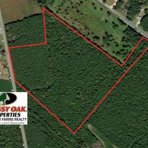 Photo #1 of SOLD property in Off Highway 72, Red Springs, NC 29.2 acres