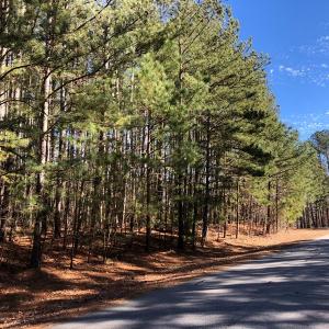 Photo #14 of Off Waterside Dr., Henrico, NC 1.0 acres