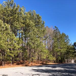 Photo #17 of Off Waterside Dr., Henrico, NC 1.0 acres