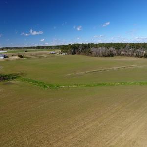 Photo #4 of SOLD property in Stack Turner Road, Chadbourn, NC 23.1 acres