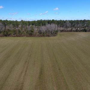 Photo #6 of SOLD property in Stack Turner Road, Chadbourn, NC 23.1 acres