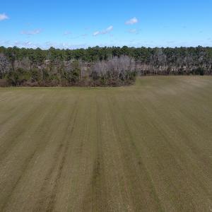 Photo #6 of SOLD property in Stack Turner Road, Chadbourn, NC 23.1 acres