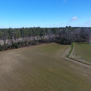 Photo #7 of SOLD property in Stack Turner Road, Chadbourn, NC 23.1 acres