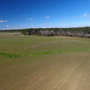 Photo #10 of SOLD property in Stack Turner Road, Chadbourn, NC 23.1 acres