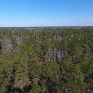 Photo #2 of SOLD property in Off McLean Chapel Church Road, Bunnlevel, NC 60.8 acres