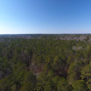 Photo #8 of SOLD property in Off McLean Chapel Church Road, Bunnlevel, NC 60.8 acres