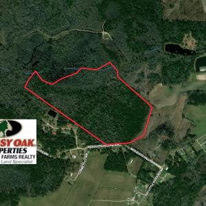 Photo #1 of SOLD property in Off Mosquito Hill Road, Ash, NC 71.9 acres
