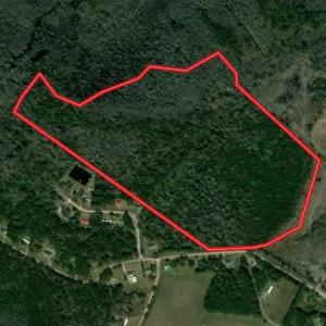 Photo #2 of SOLD property in Off Mosquito Hill Road, Ash, NC 71.9 acres