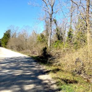Photo #3 of SOLD property in Off Mosquito Hill Road, Ash, NC 71.9 acres