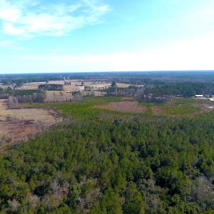 Photo #4 of SOLD property in Off Mosquito Hill Road, Ash, NC 71.9 acres