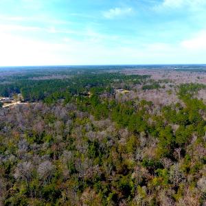 Photo #6 of SOLD property in Off Mosquito Hill Road, Ash, NC 71.9 acres