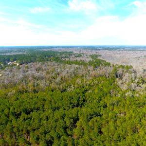 Photo #7 of SOLD property in Off Mosquito Hill Road, Ash, NC 71.9 acres