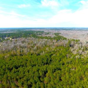 Photo #7 of SOLD property in Off Mosquito Hill Road, Ash, NC 71.9 acres