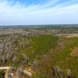 Photo #9 of SOLD property in Off Mosquito Hill Road, Ash, NC 71.9 acres