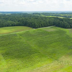Photo #4 of SOLD property in Off NC Hwy 49, Burlington, NC 3.3 acres