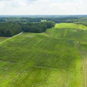 Photo #5 of SOLD property in Off NC Hwy 49, Burlington, NC 3.3 acres