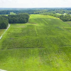 Photo #6 of SOLD property in Off NC Hwy 49, Burlington, NC 3.3 acres