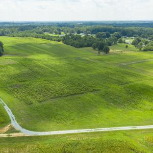 Photo #7 of SOLD property in Off NC Hwy 49, Burlington, NC 3.3 acres