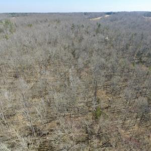 Photo #15 of SOLD property in Off Table Rock Lane, Nathalie, VA 20.0 acres