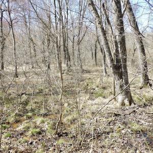 Photo #19 of SOLD property in Off Table Rock Lane, Nathalie, VA 20.0 acres