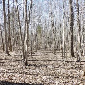 Photo #27 of SOLD property in Off Table Rock Lane, Nathalie, VA 20.0 acres
