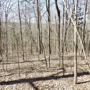 Photo #33 of SOLD property in Off Table Rock Lane, Nathalie, VA 20.0 acres