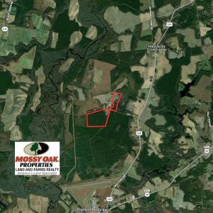 Photo #2 of SOLD property in Off Hunt Club Rd, Carrsville, VA 138.0 acres