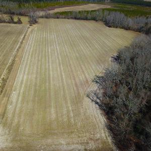 Photo #3 of SOLD property in Off Hunt Club Rd, Carrsville, VA 138.0 acres