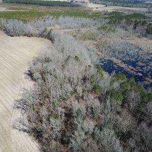 Photo #4 of SOLD property in Off Hunt Club Rd, Carrsville, VA 138.0 acres