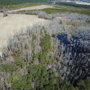 Photo #5 of SOLD property in Off Hunt Club Rd, Carrsville, VA 138.0 acres