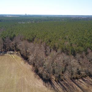 Photo #7 of SOLD property in Off Hunt Club Rd, Carrsville, VA 138.0 acres