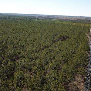 Photo #8 of SOLD property in Off Hunt Club Rd, Carrsville, VA 138.0 acres