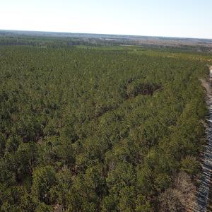Photo #8 of SOLD property in Off Hunt Club Rd, Carrsville, VA 138.0 acres