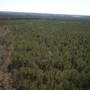 Photo #10 of SOLD property in Off Hunt Club Rd, Carrsville, VA 138.0 acres