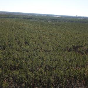 Photo #11 of SOLD property in Off Hunt Club Rd, Carrsville, VA 138.0 acres