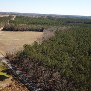 Photo #12 of SOLD property in Off Hunt Club Rd, Carrsville, VA 138.0 acres