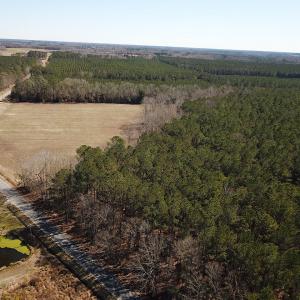 Photo #12 of SOLD property in Off Hunt Club Rd, Carrsville, VA 138.0 acres