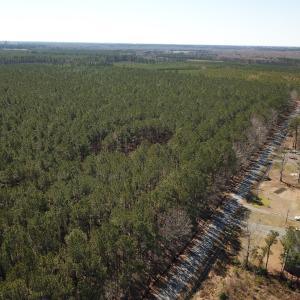 Photo #13 of SOLD property in Off Hunt Club Rd, Carrsville, VA 138.0 acres