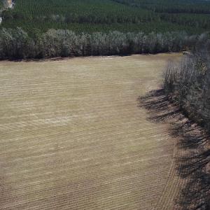 Photo #16 of SOLD property in Off Hunt Club Rd, Carrsville, VA 138.0 acres