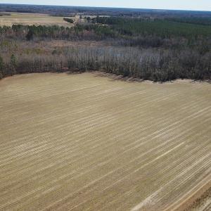 Photo #17 of SOLD property in Off Hunt Club Rd, Carrsville, VA 138.0 acres