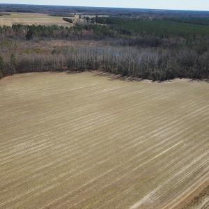Photo #17 of SOLD property in Off Hunt Club Rd, Carrsville, VA 138.0 acres
