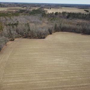 Photo #18 of SOLD property in Off Hunt Club Rd, Carrsville, VA 138.0 acres