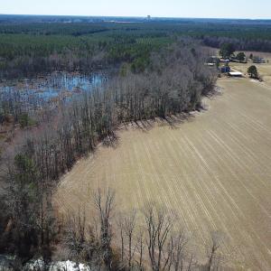 Photo #19 of SOLD property in Off Hunt Club Rd, Carrsville, VA 138.0 acres