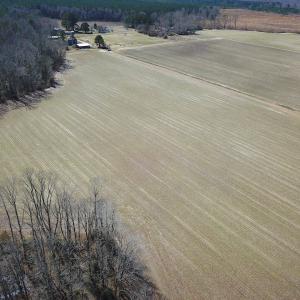 Photo #20 of SOLD property in Off Hunt Club Rd, Carrsville, VA 138.0 acres