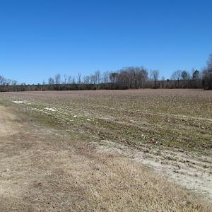 Photo #21 of SOLD property in Off Hunt Club Rd, Carrsville, VA 138.0 acres