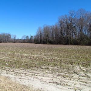 Photo #22 of SOLD property in Off Hunt Club Rd, Carrsville, VA 138.0 acres