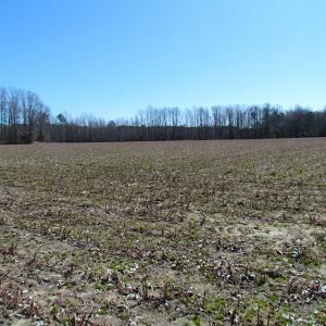 Photo #23 of SOLD property in Off Hunt Club Rd, Carrsville, VA 138.0 acres