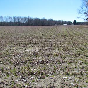 Photo #24 of SOLD property in Off Hunt Club Rd, Carrsville, VA 138.0 acres