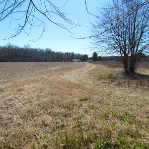 Photo #25 of SOLD property in Off Hunt Club Rd, Carrsville, VA 138.0 acres