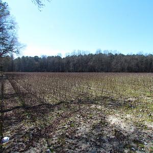 Photo #26 of SOLD property in Off Hunt Club Rd, Carrsville, VA 138.0 acres